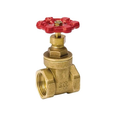 Thrifco Plumbing 3/4 Inch FIP Brass Gate Valve, Economy 6417004